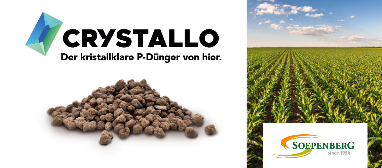 Phosphorus recycling product struvite in a long-term test in Nettlingen near Hildesheim