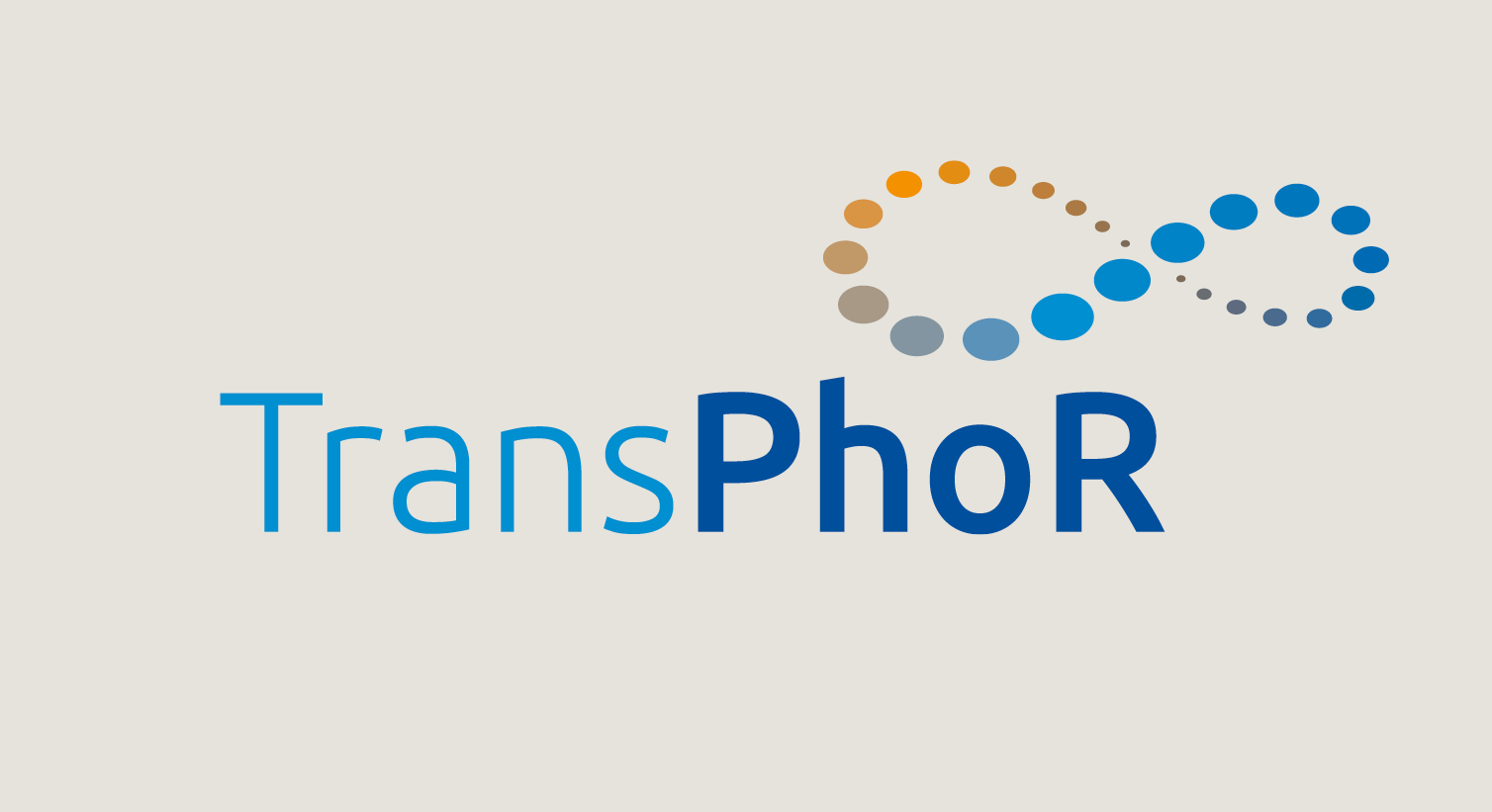 TransPhoR | Identification of social hotspots of primary phosphorus fertilizer based on Social Life Cycle Assessment methodology